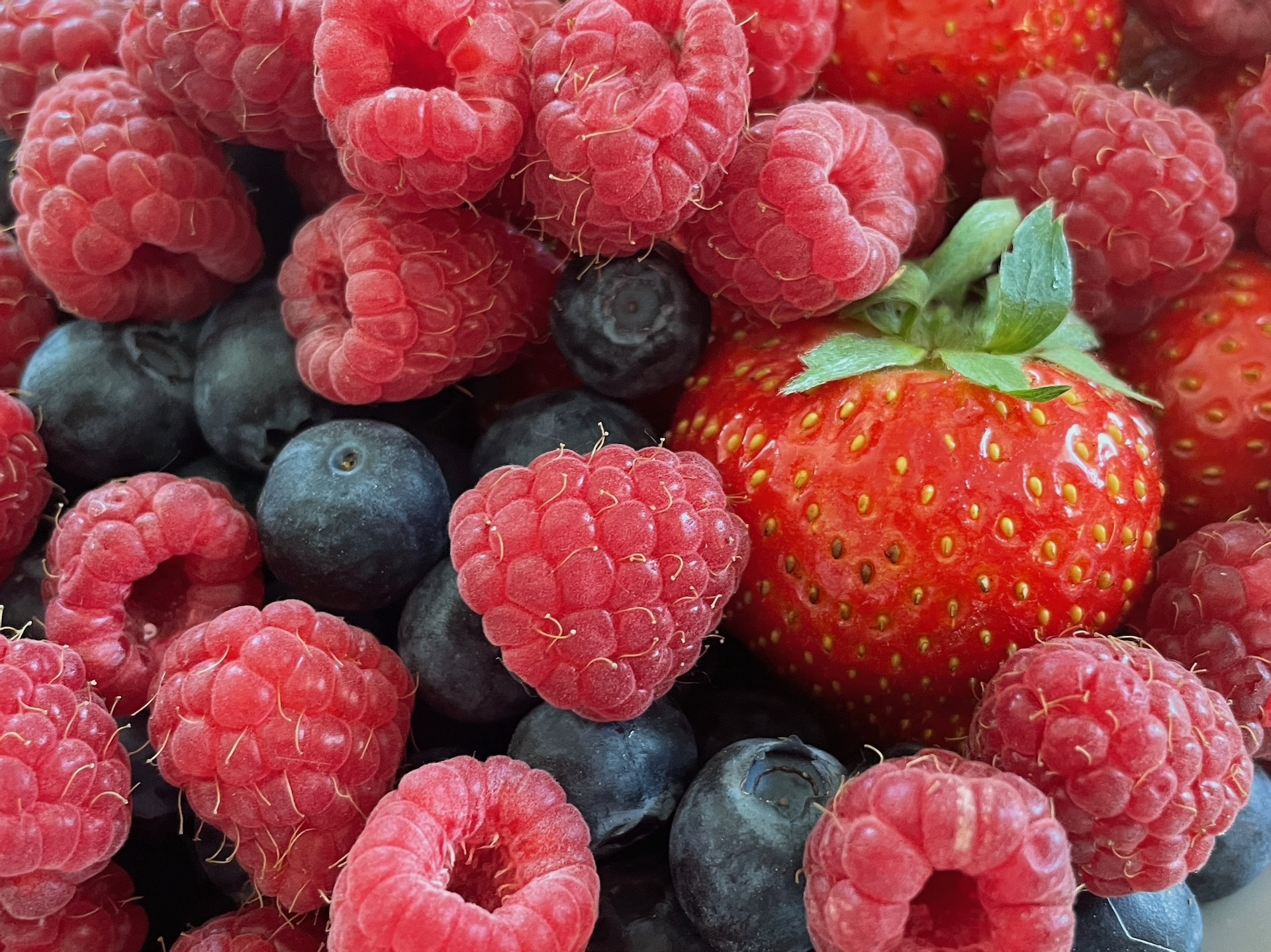 Small fruit festival