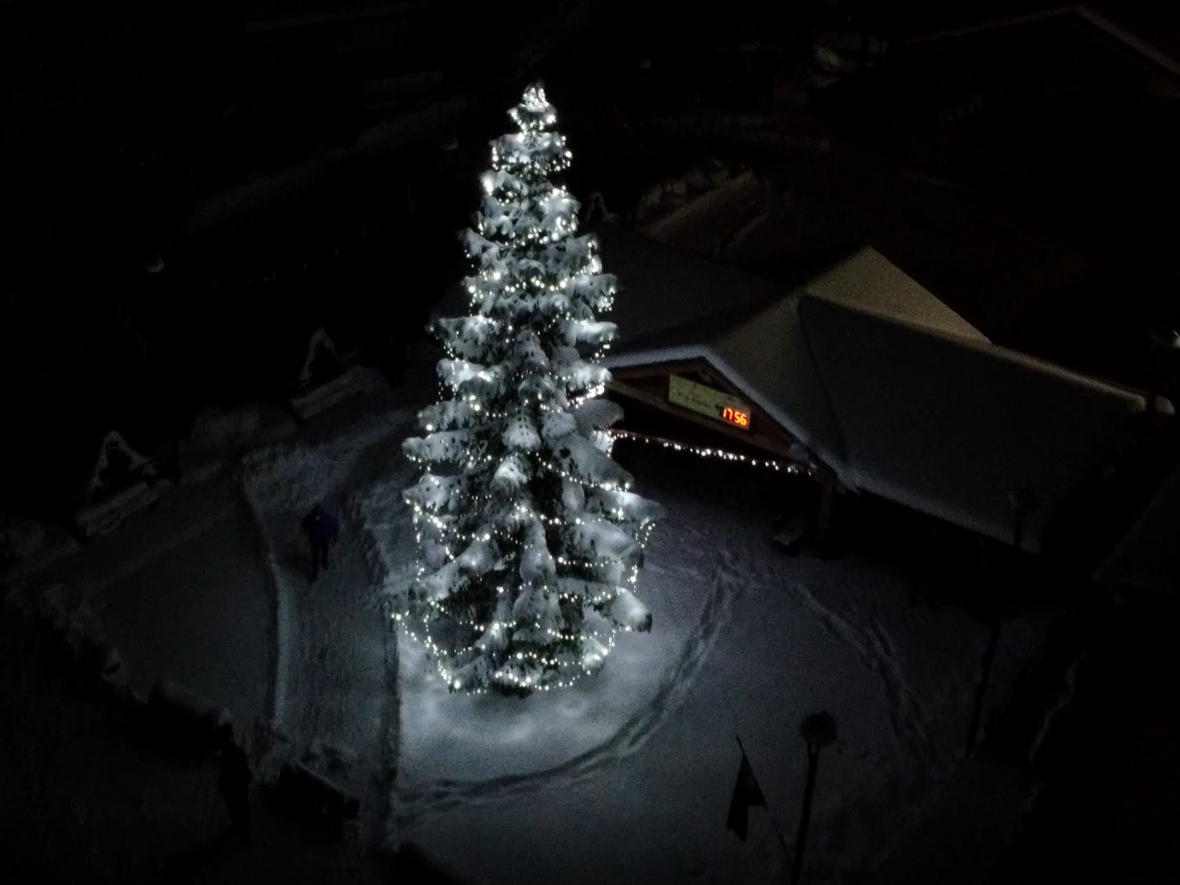 Illuminated Christmas tree