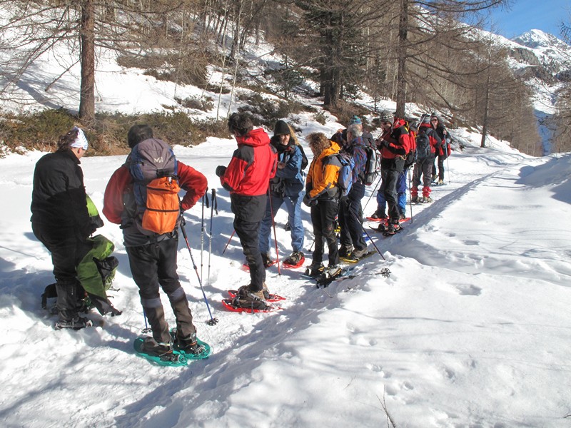 Excursion with snowshoes