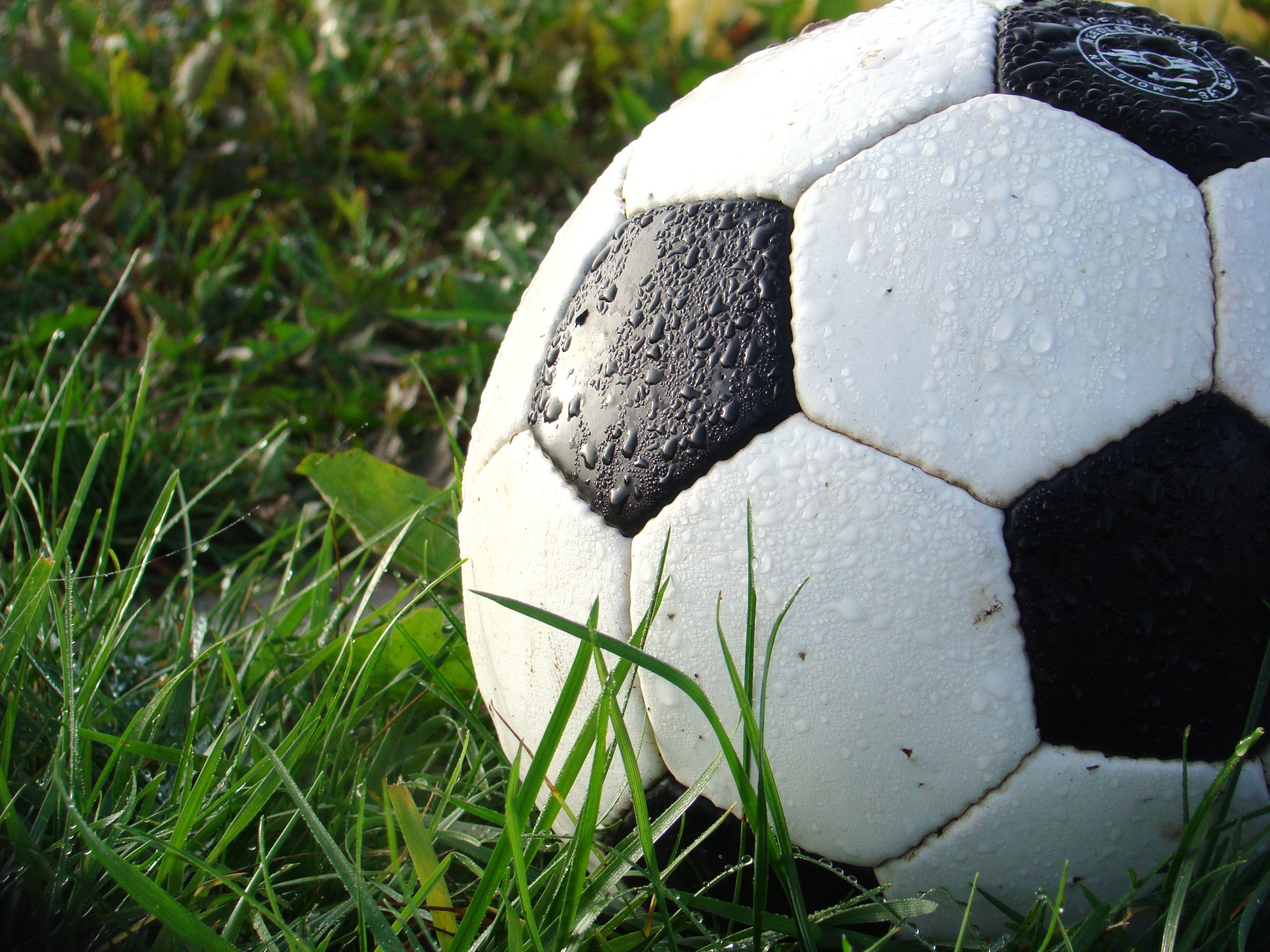 Stage de football