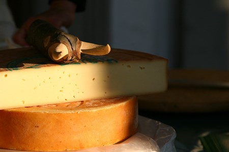 Fontina