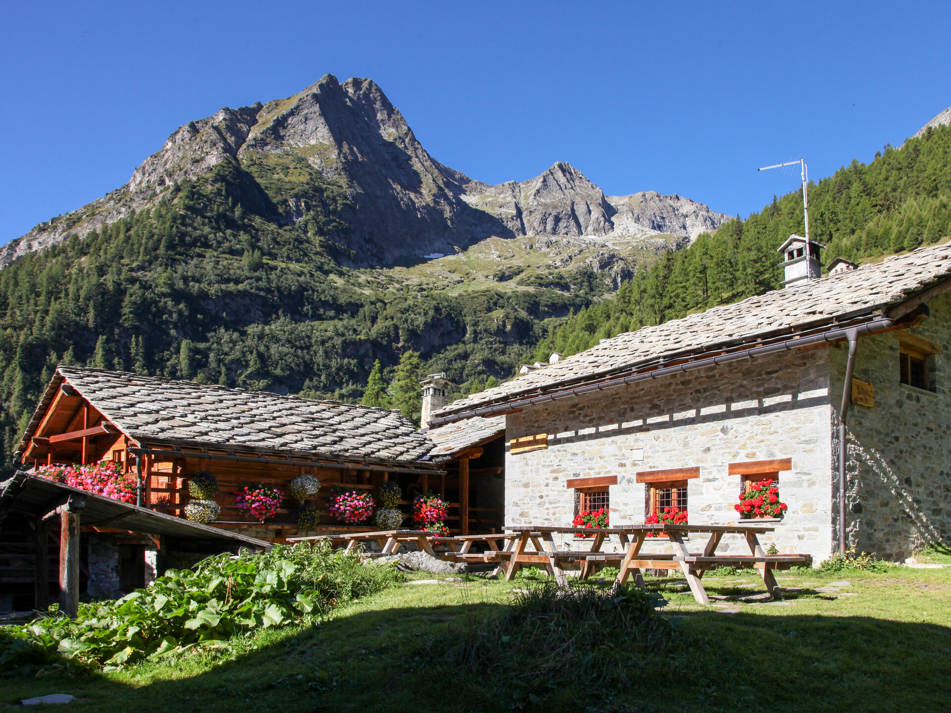 The mountain hut