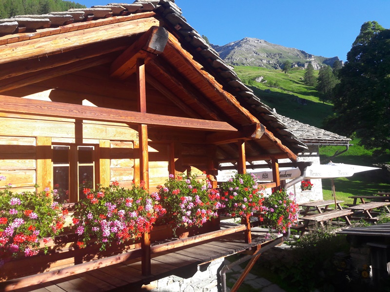 The flowers on the balcony of the refuge