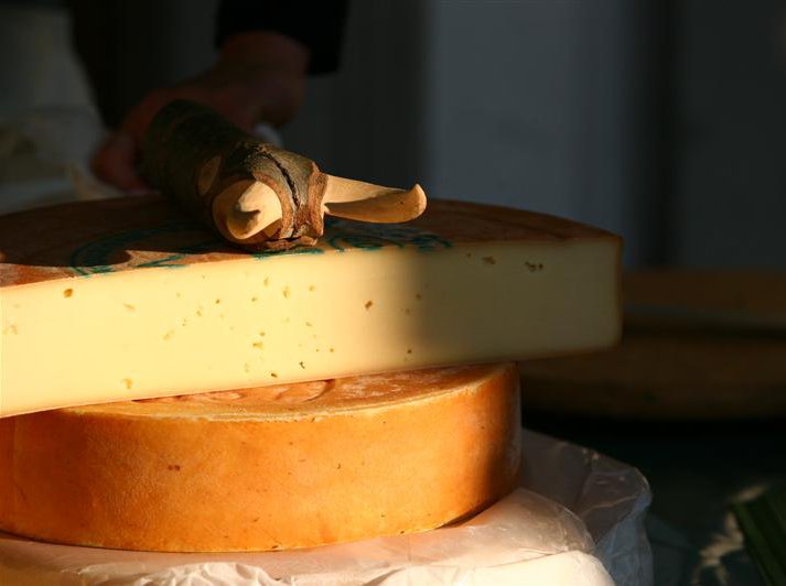 Fontina cheese