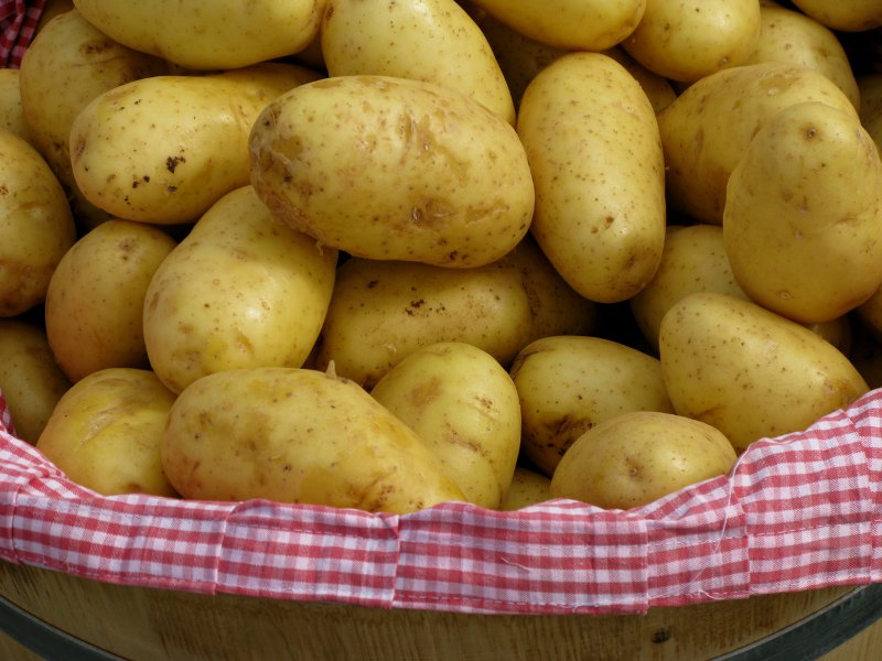 Mountain potatoes