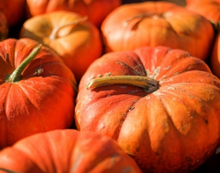 La Zucca...dall'orto alla tavola