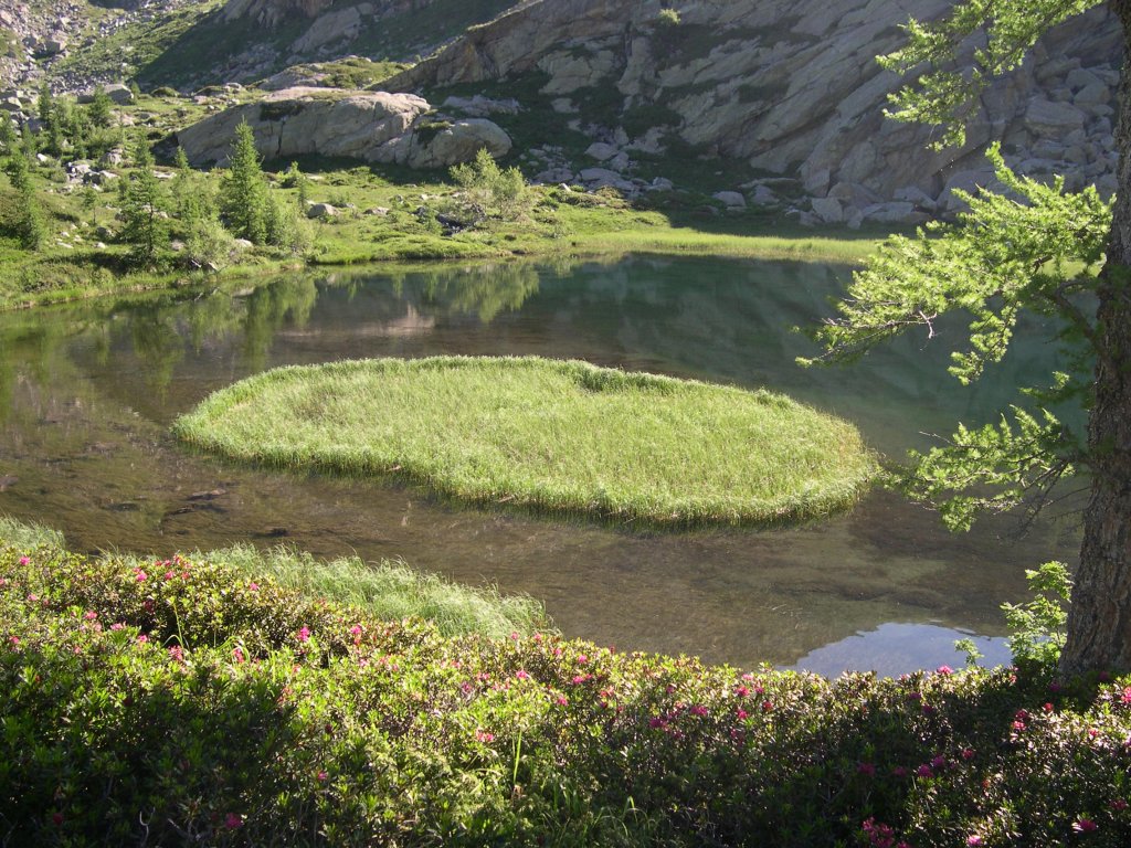 Riserva naturale Mont Mars - Fontainemore