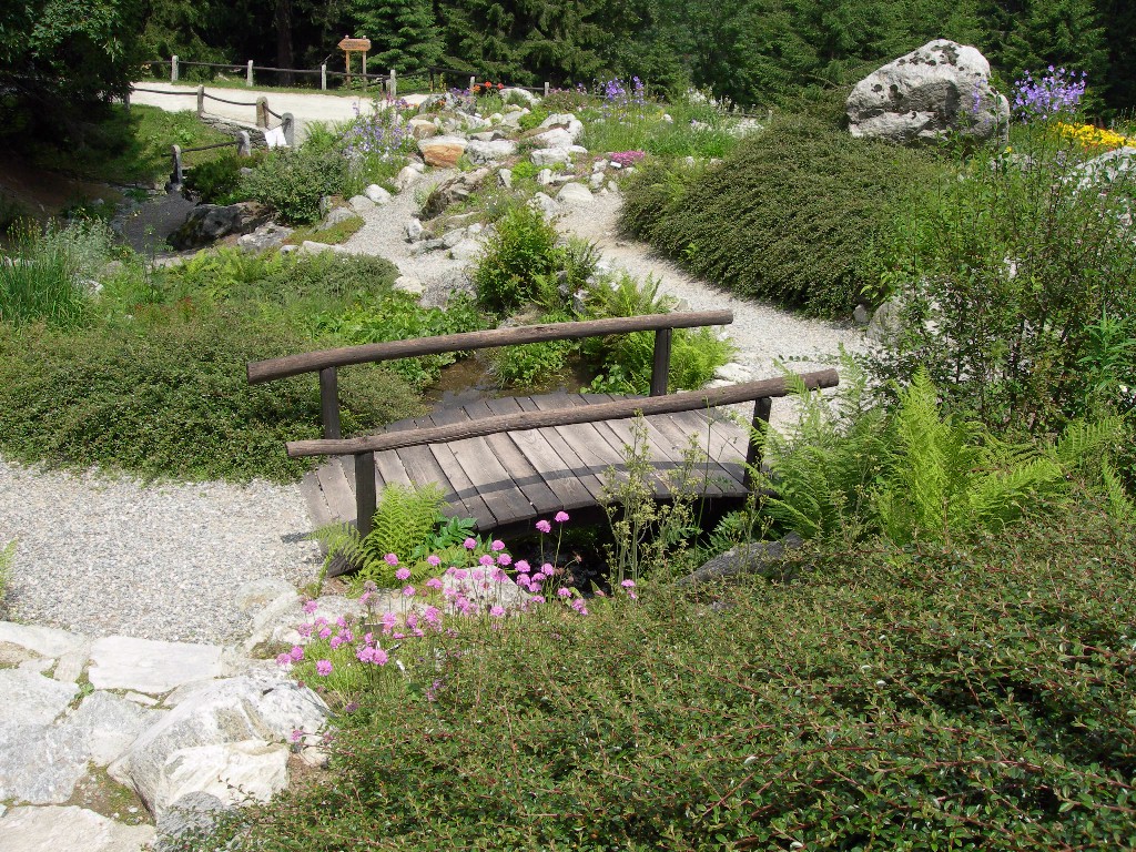 Wooden bridge