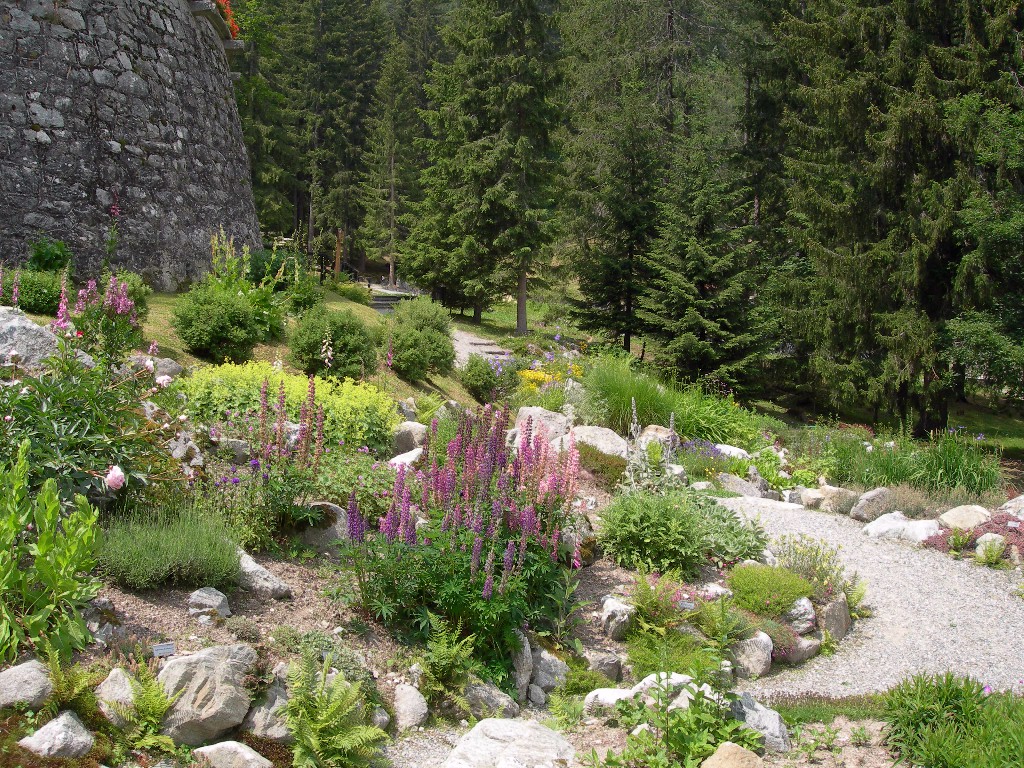 Giardino botanico Castel Savoia -Gressoney-St-Jean