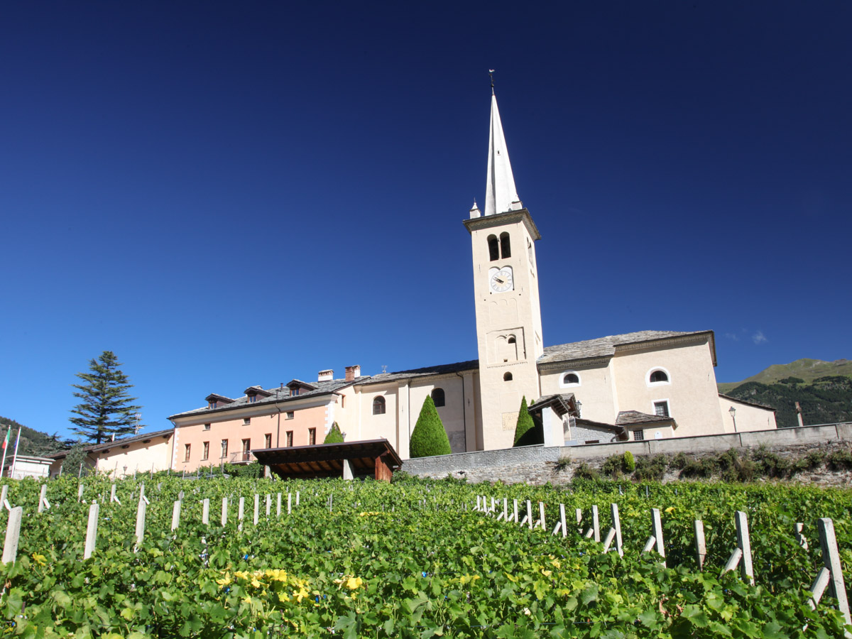 Parmi les vignobles
