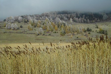 Première neige