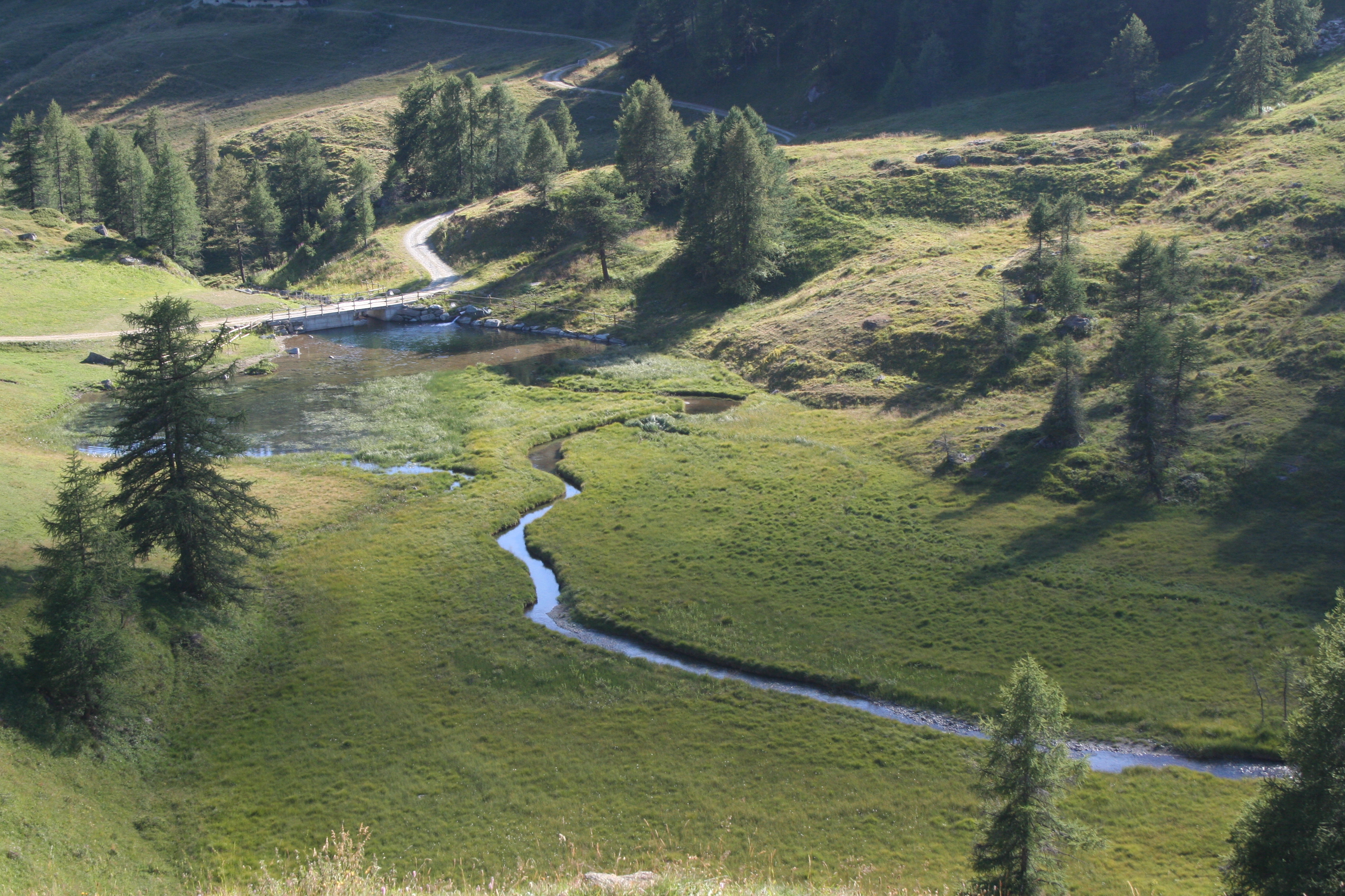 Teich von Lo Ditor