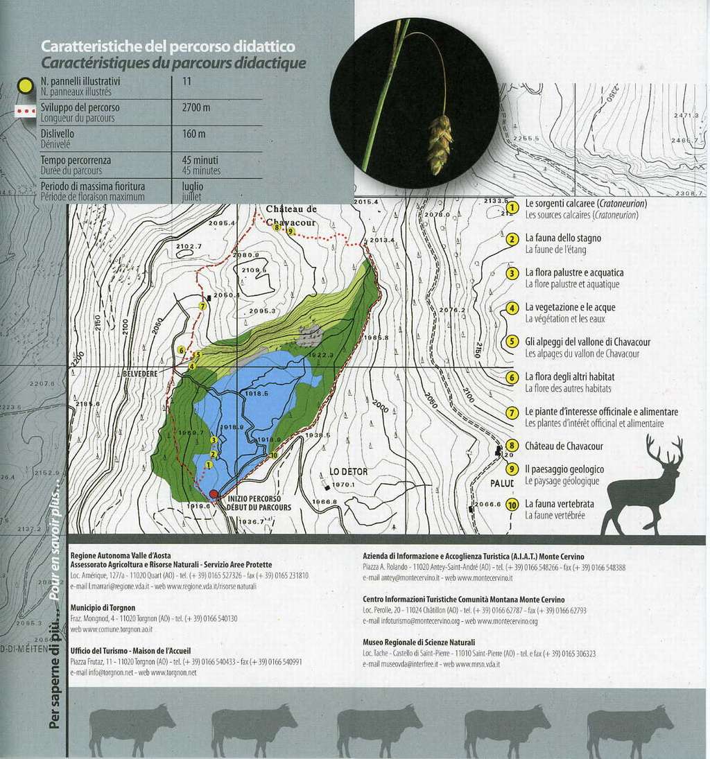 mappa del sito