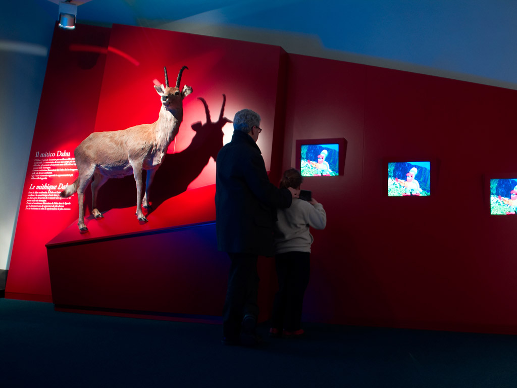 Alpenmuseum