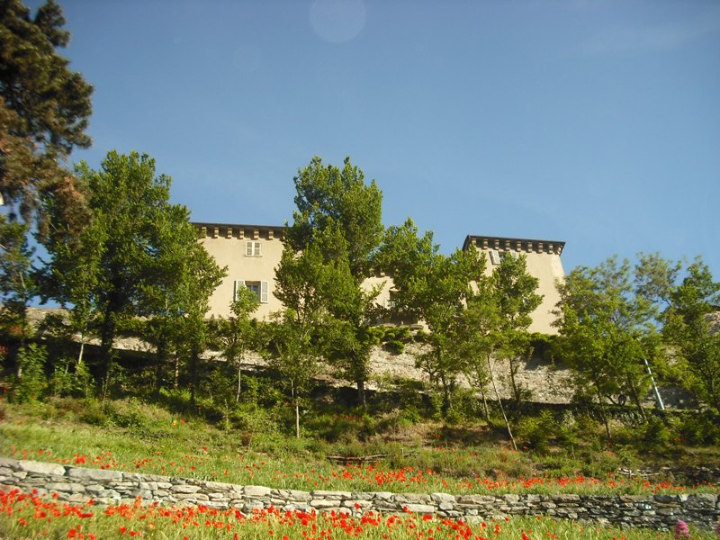 Das Schloß und die Natur