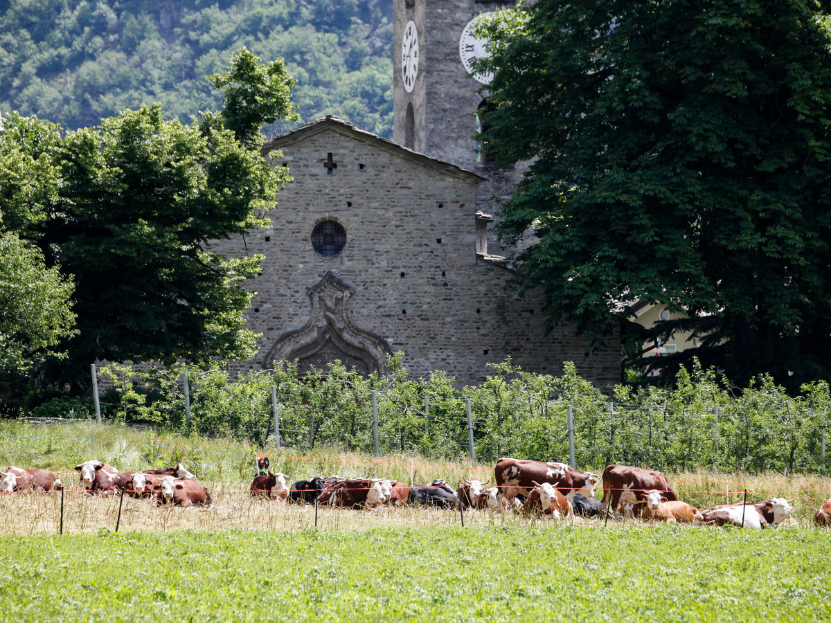 Die Kirche Sitz des Museums