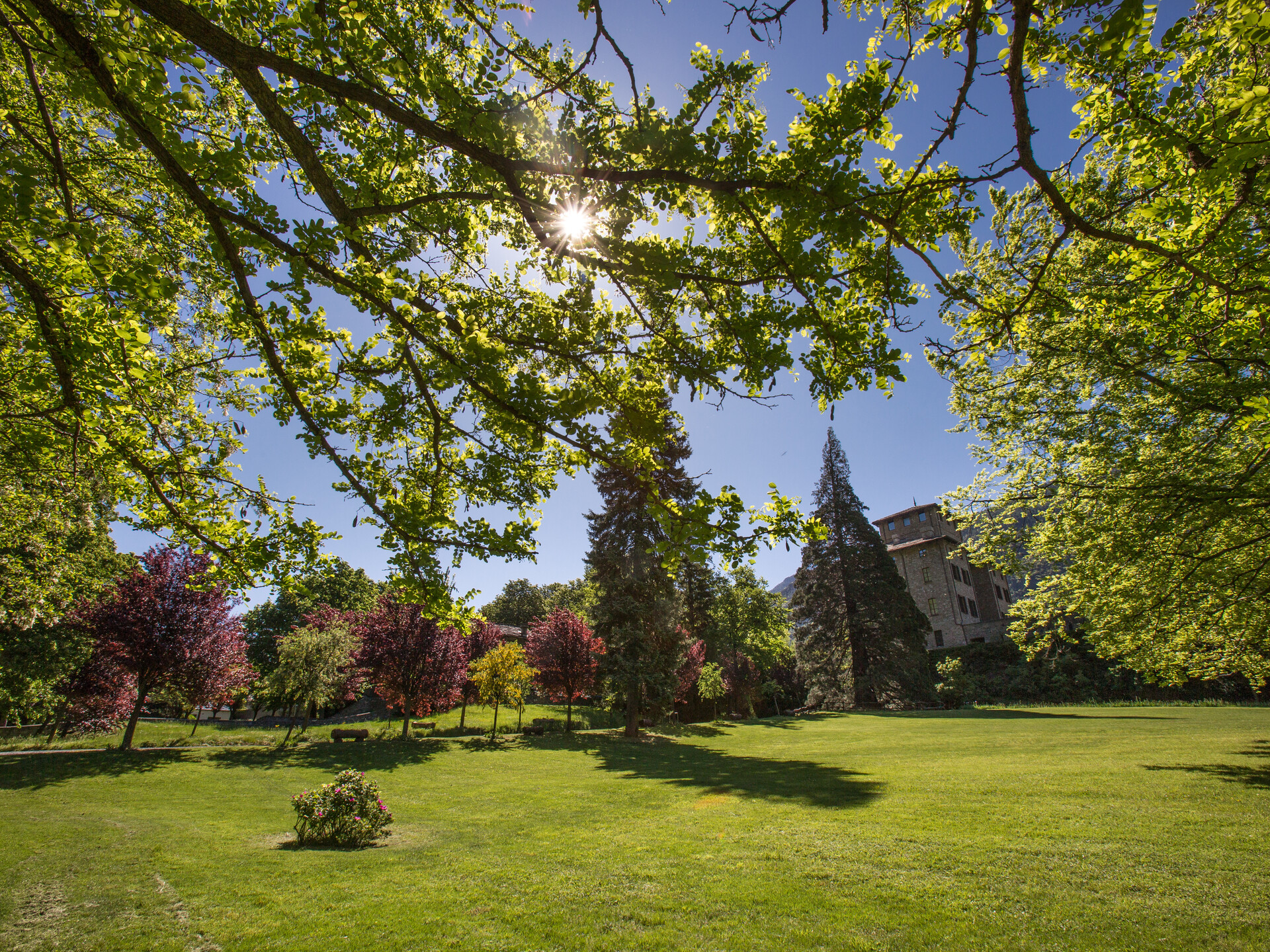 Park des Schlosses Gamba