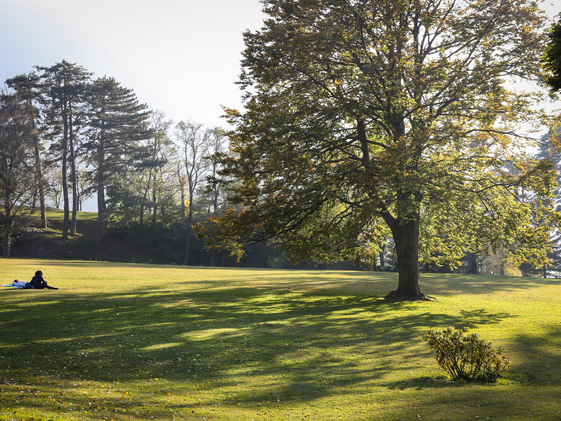 détente dans le parc du château Gamba