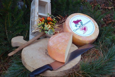 Gressoney Toma Käse