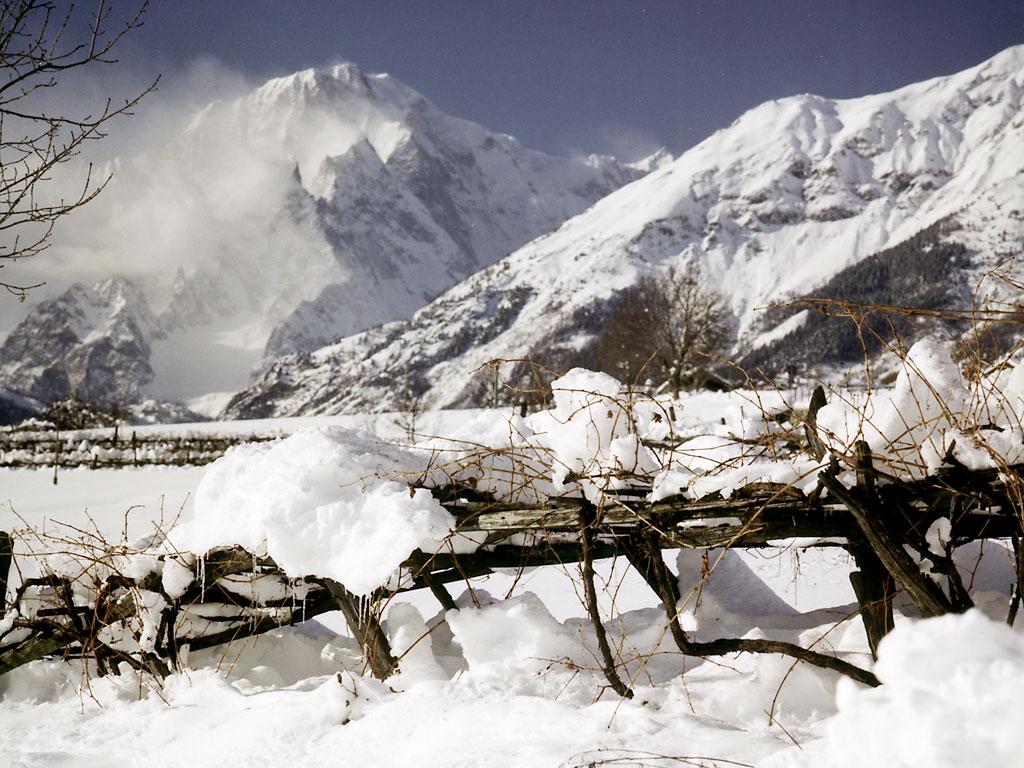 Morgex - vignobles sous la neige