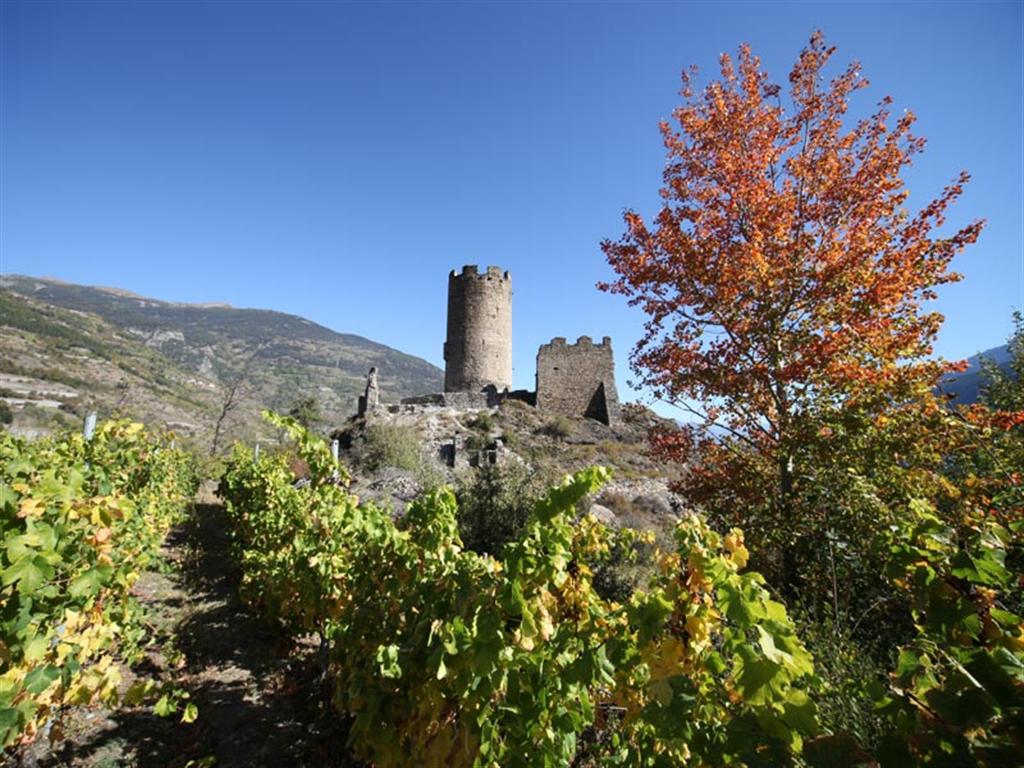 Villeneuve - wineyards