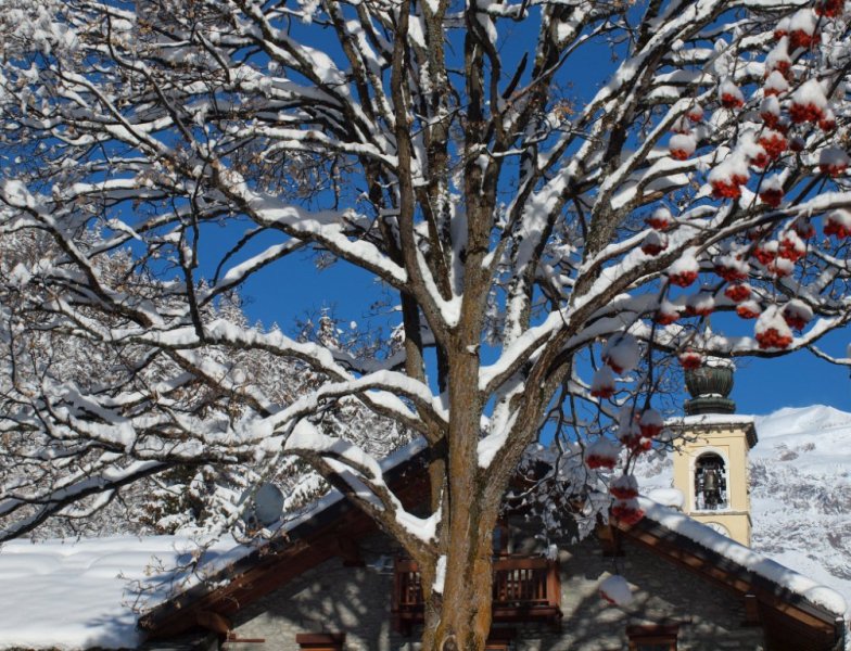 The rowan and the belltower