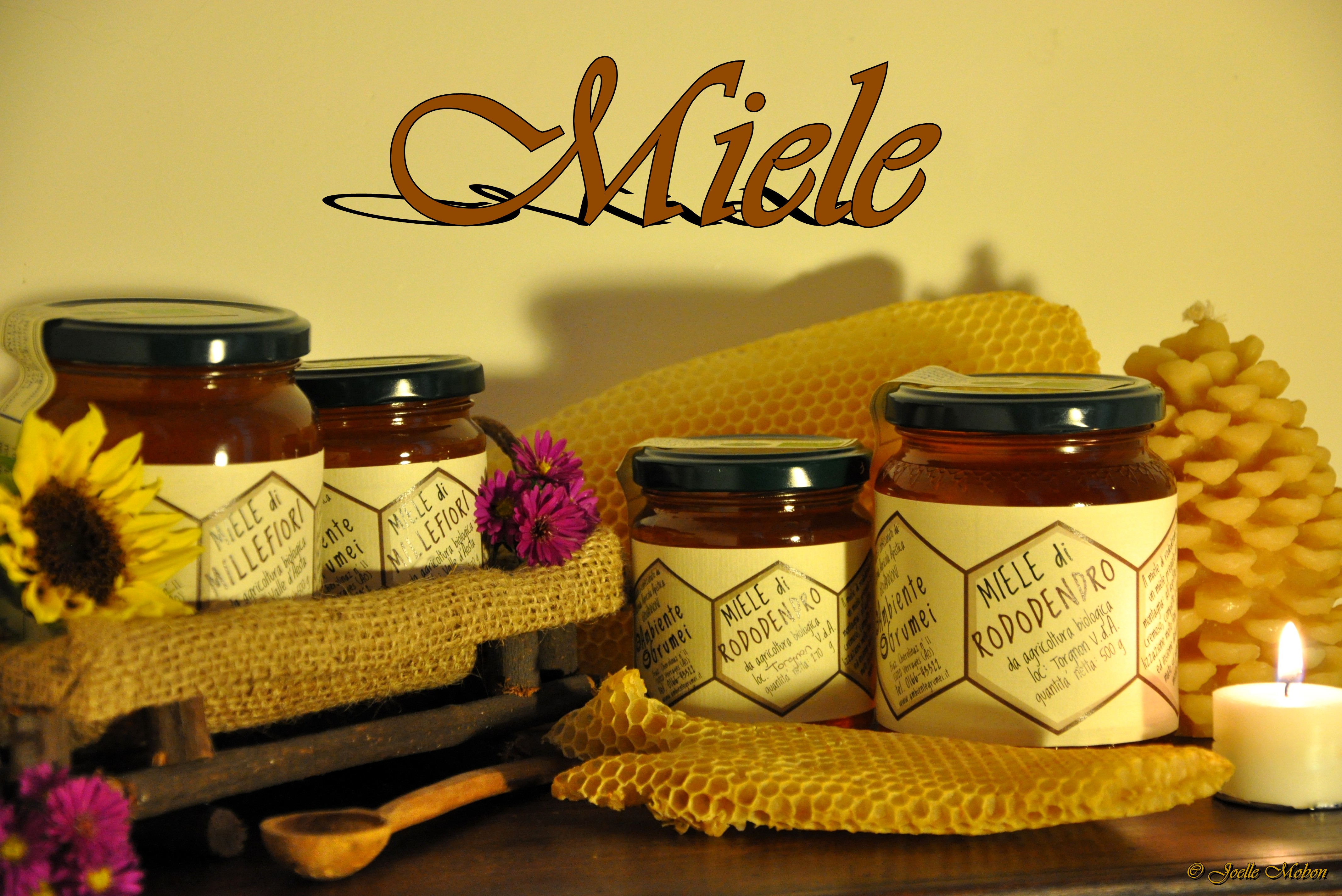 Tarros de miel