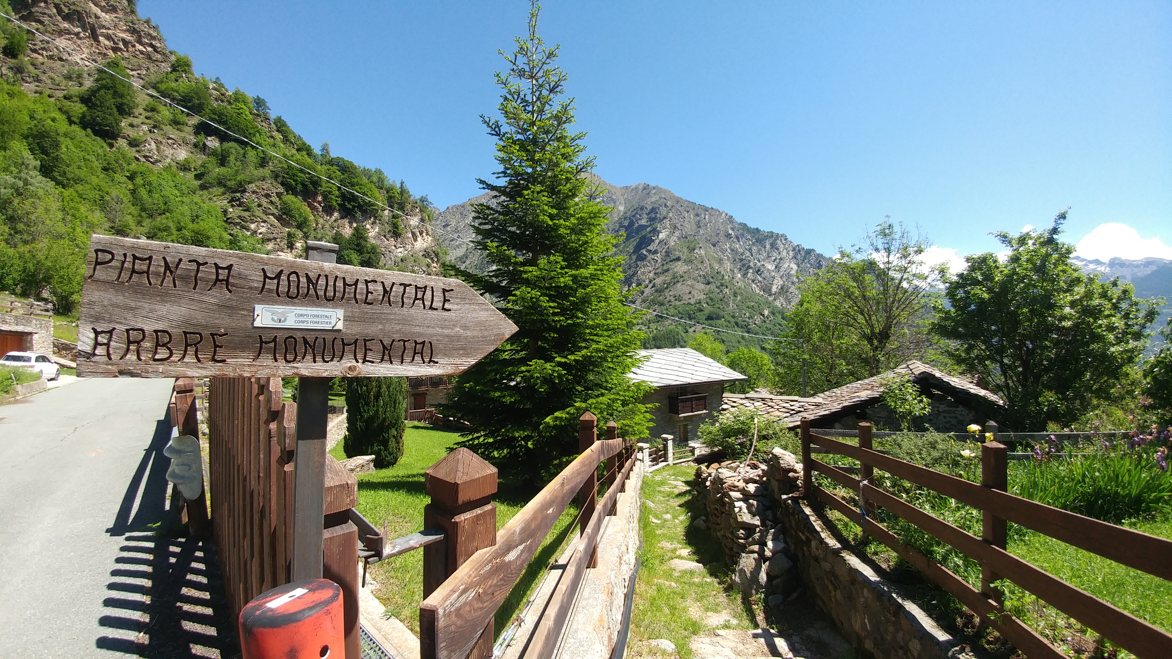 Schild - monumentale Esche - Dorf Pesse