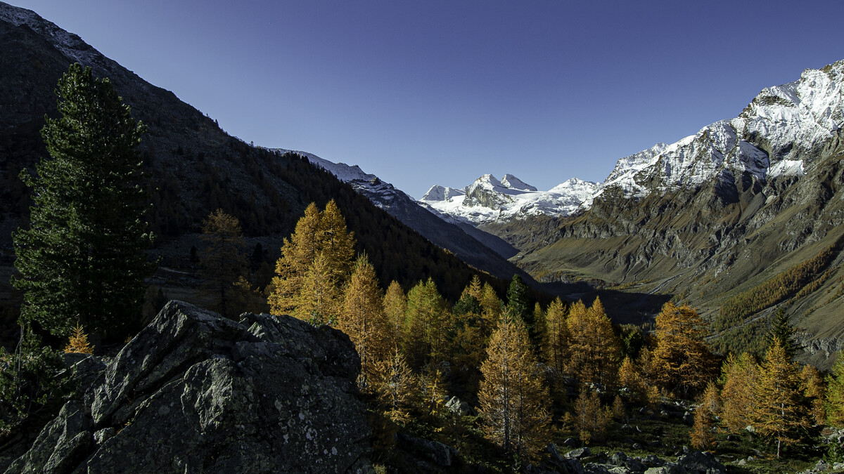 Herbst im Val di Rhêmes