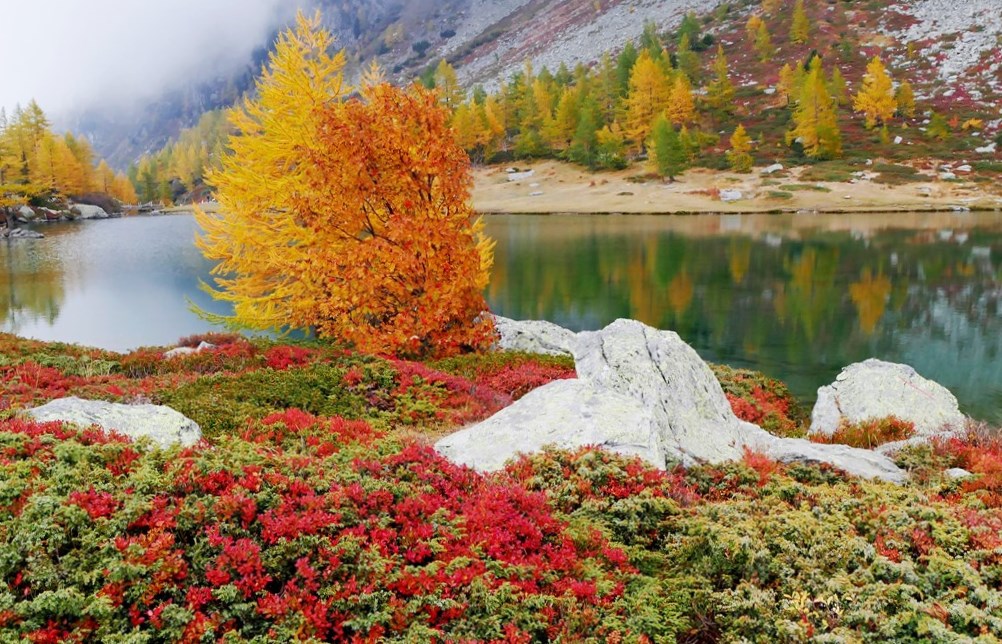 Lac d'Arpy - Morgex