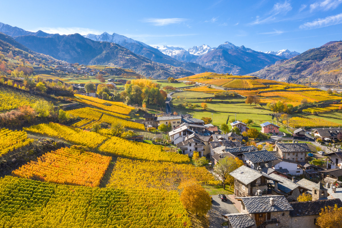 vignobles à Jovençan