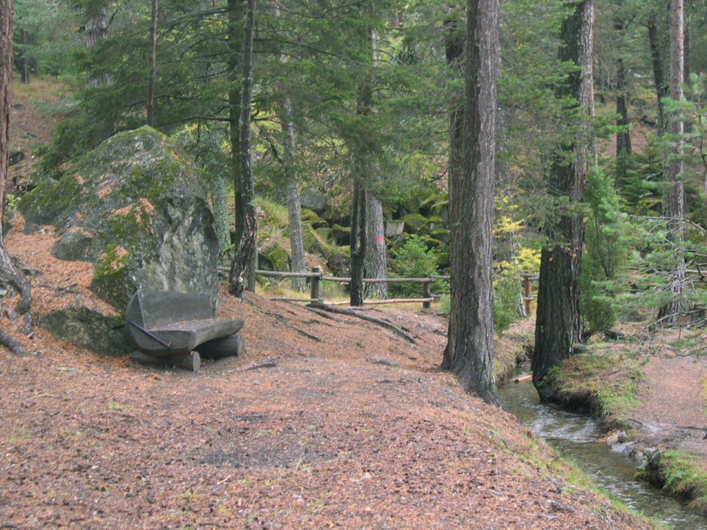 Area pic nic "Sources du Ruet" - Sarre