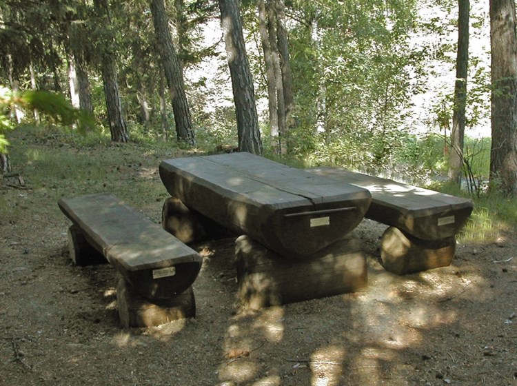 Area pic nic "Bois de La Tour" - Saint-Nicolas