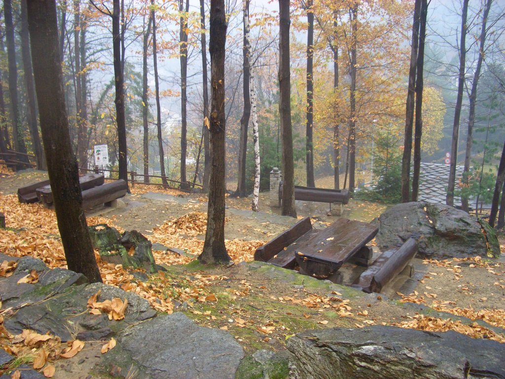 Area pic nic "Bousc Dare" - Pont-Saint-Martin