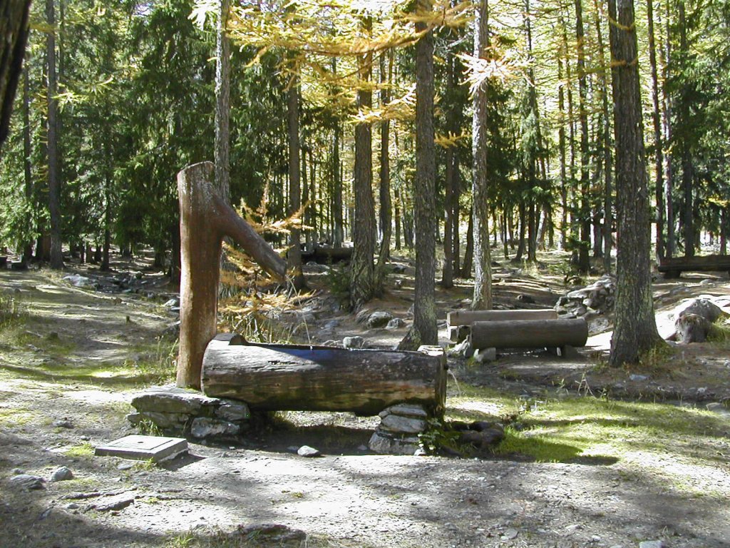 Area pic nic "Bosco del Miage" - Courmayeur