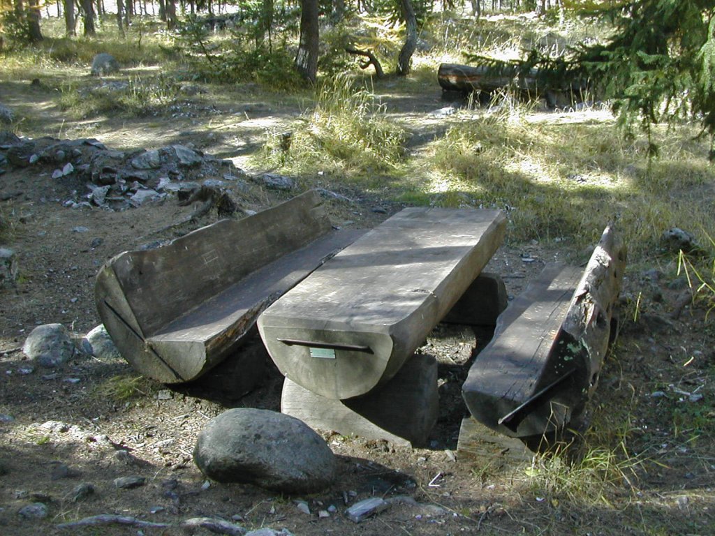 Area pic nic "Bosco del Miage" - Courmayeur