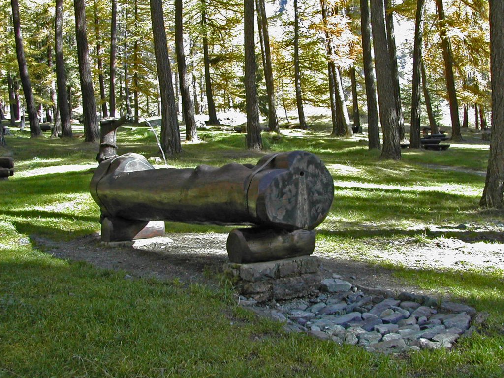 Area pic nic "Bosco di Goen" - Brusson