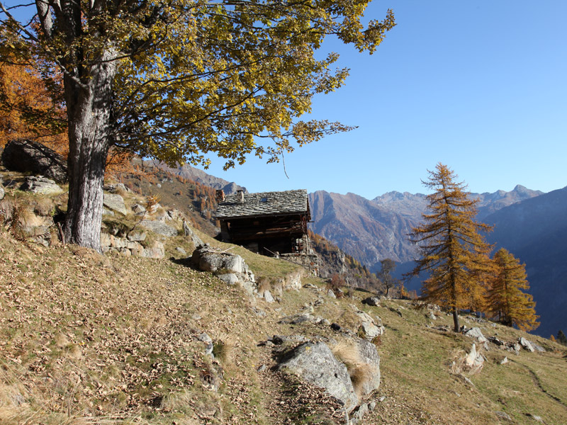 View over the valley