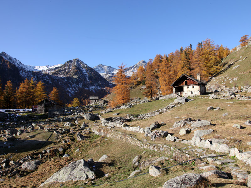 Chemin muletier à Töifi