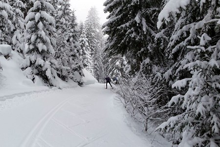 Pista di fondo Alta Valle del Gran San Bernardo