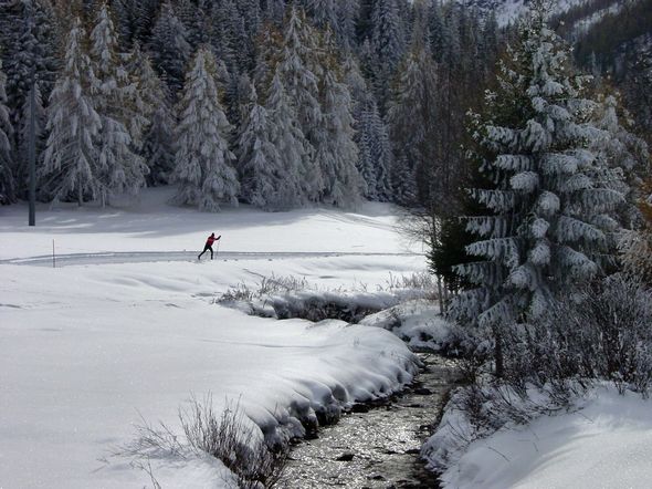 Piste di fondo di Arpy