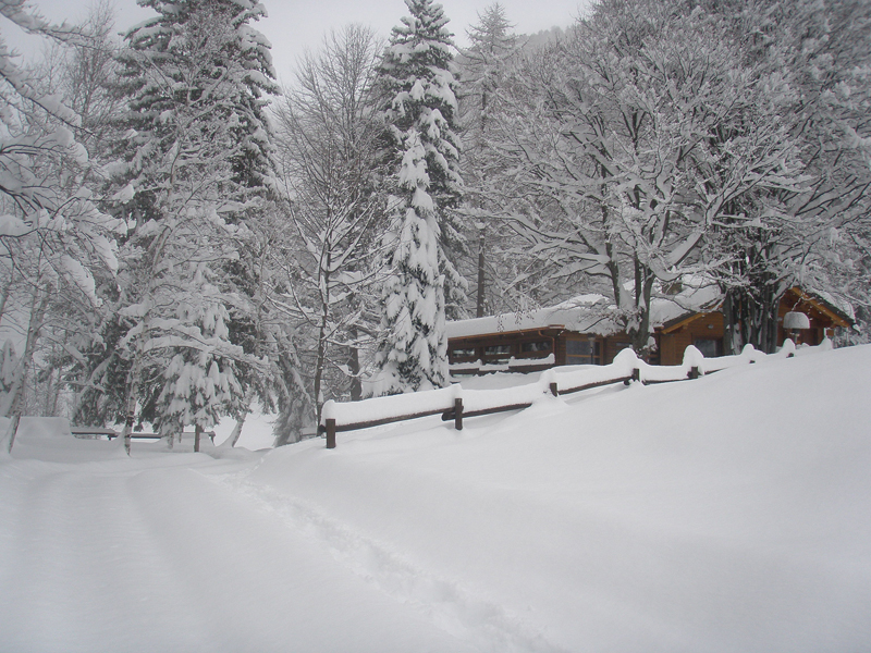 Vue des pistes de ski de fond de Coumarial