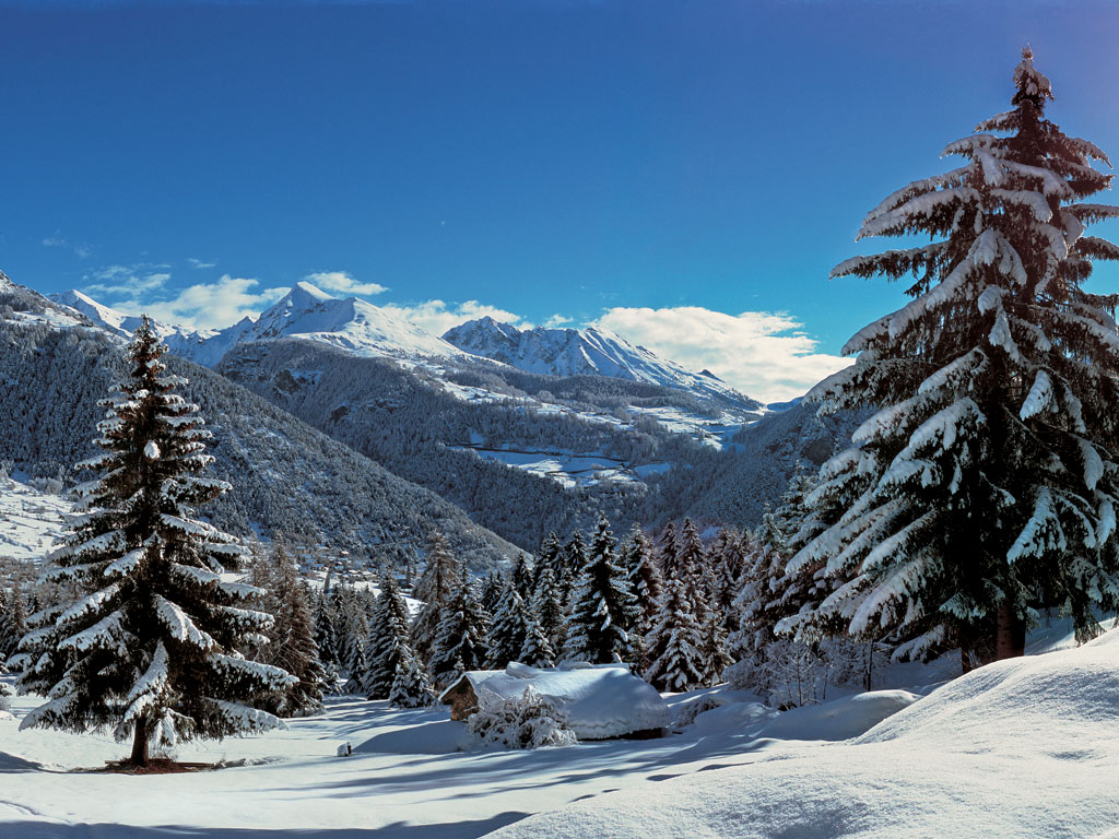 Bois du Joux - Brusson