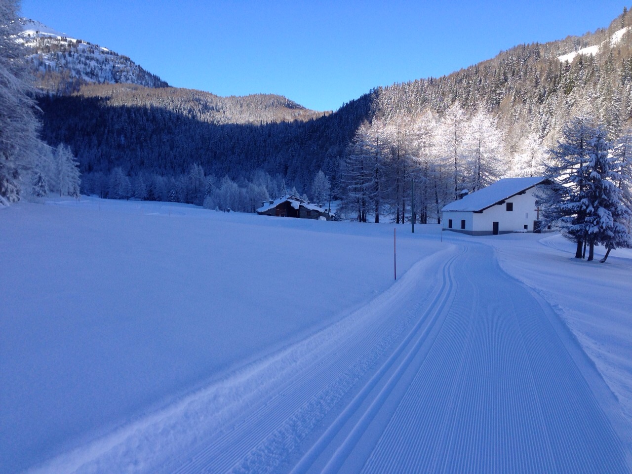 Pistes de fond de Arpy