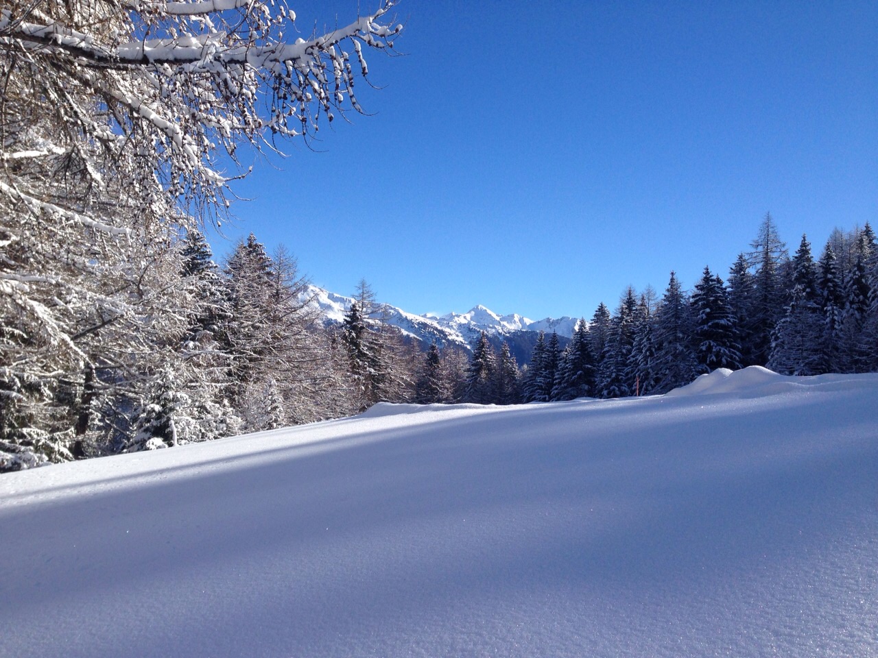 Pistes de ski de fond de Arpy