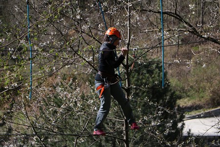 Parc d'aventure