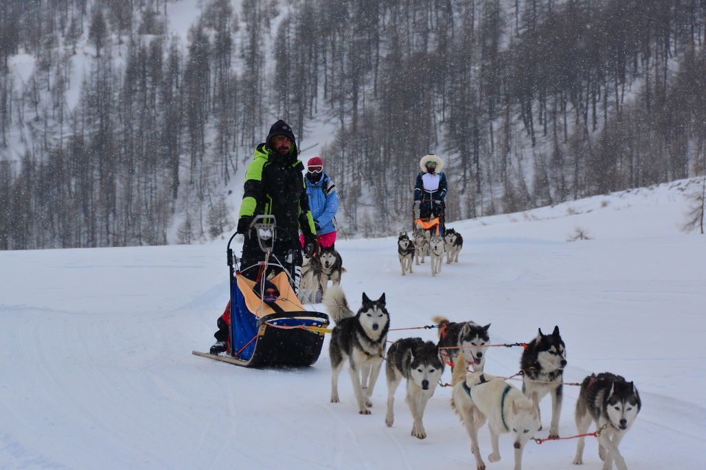 The Husky Experience Breuil Cervinia