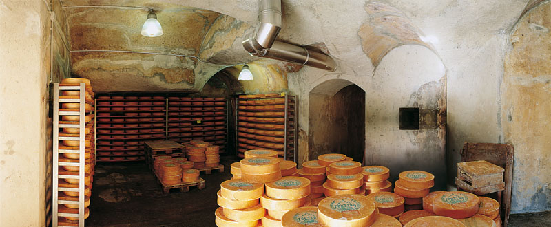 Reifungsraum des Fontina