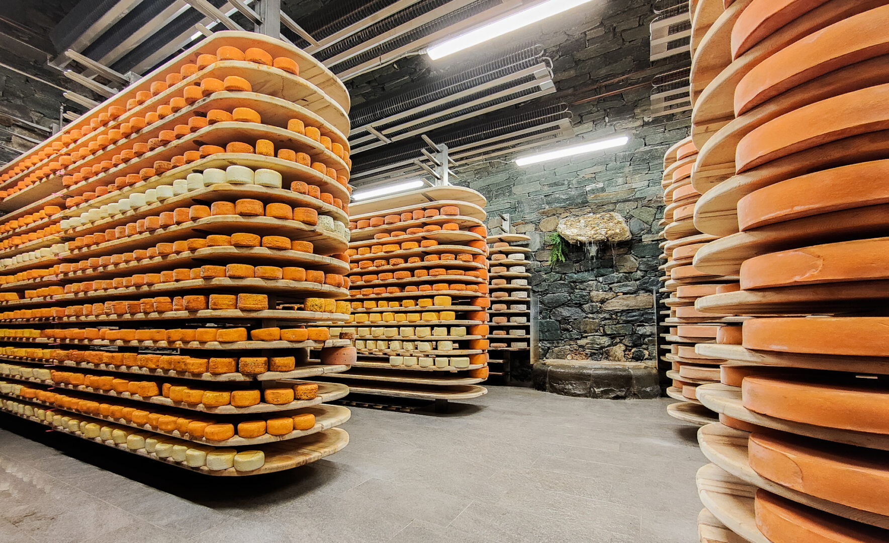 Cheese aging cellar