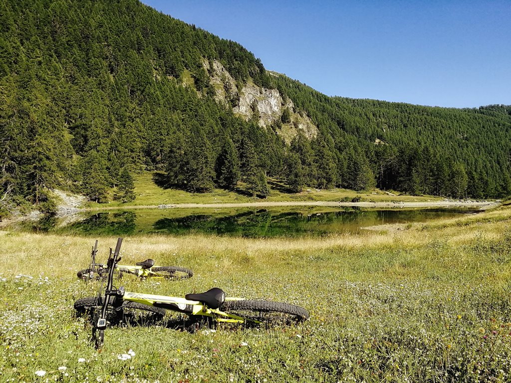 Alquiler de bicicletas